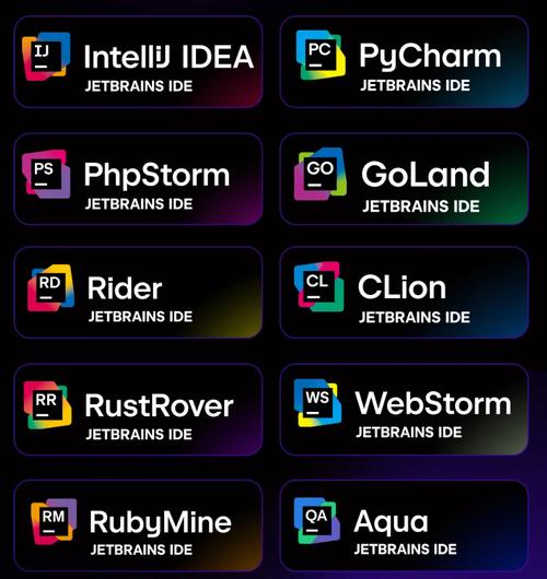 3. JetBrains AI Assistant（工程严谨型，IDE内置）示意图